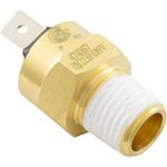 Picture of Hi-Limit Switch Pentair Max-E-Therm/MasterTemp 1/4" - 18npt 42001-0063S