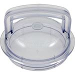 Picture of Trap Lid Pentair PacFab Challenger/Pinnacle/Waterfall Clear 355301