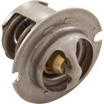 Picture of Thermal Regulator Pentair MasterTemp 125 474989