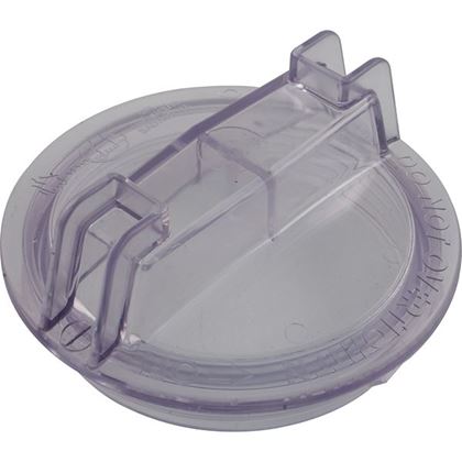 Picture of Trap Lid Pentair DuraGlas 5" Trap C3-139P1Z