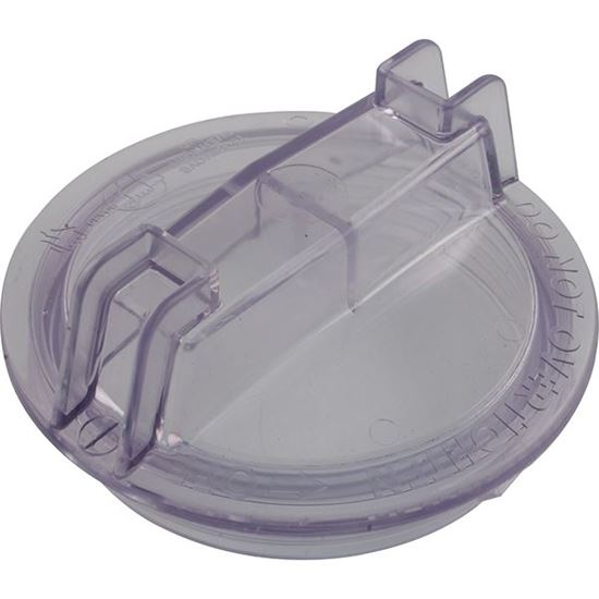 Picture of Trap Lid Pentair DuraGlas 5" Trap C3-139P1Z