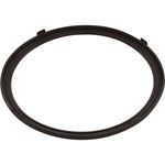 Picture of Gasket Pentair AquaLumin III Light Lens 619599Z