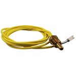 Picture of Thermistor Probe Pentair Minimax NT 471566Z