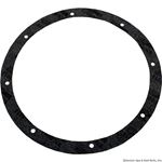 Picture of Light Niche Gasket Kit Pentair Amerlite 8-Hole Vinyl 79200300