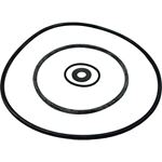 Picture of Seal Kit Pentair Sta-Rite DuraGlas PP1200