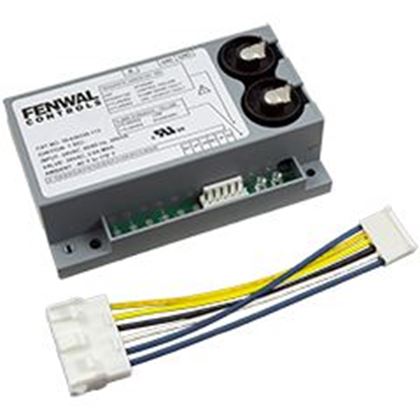 Picture of Ignition Control Board Pentair ETI 400 Replacement Kit 475976