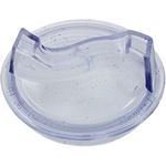 Picture of Trap Lid Pentair DuraGlas 6" Trap 16920-0011Z
