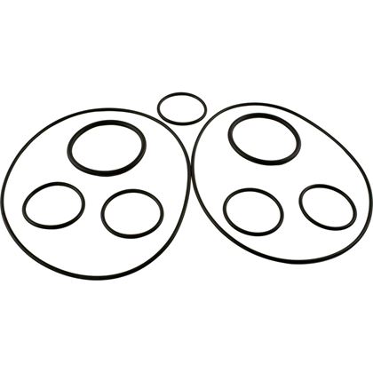 Picture of O-Ring Kit Zodiac Polaris Caretaker Valve 5-13-1