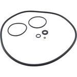 Picture of O-Ring Kit Zodiac Jandy CS Series R0466300