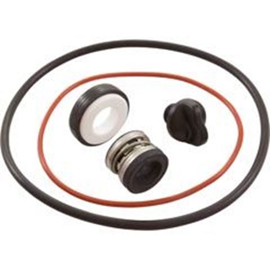 Picture of Seal Replacement Kit Zodiac Polaris PB4SQ w/ Drain Plug R0734300