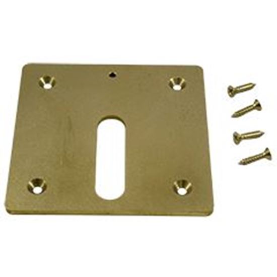 Picture of Jandy Pro Series Minijet Cover Plate Screws Brass MJ6370