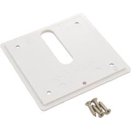 Picture of Jandy Pro Series Minijet Cover Plate Screws White MJ6300