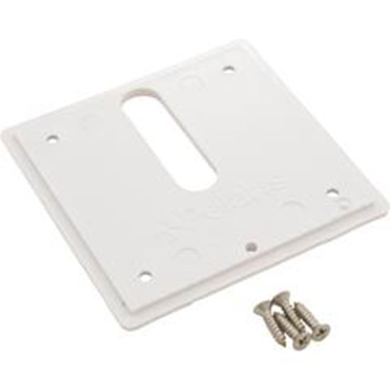 Picture of Jandy Pro Series Minijet Cover Plate Screws White MJ6300