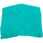 Picture of Combustion Air Filter Zodiac Laars HI-E2 R0308000