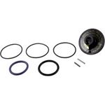 Picture of Rebuild Kit Zodiac Jandy Slide Valve R0442100