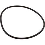 Picture of Zodiac Nature2 Professional G / M Vessel O-Ring For 2 Piece W13073