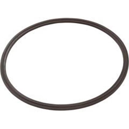 Picture of Leaf Catcher Seal Zodiac Cyclonic Leaf Catcher R0623300