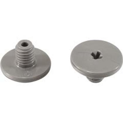 Picture of Retainer Screw Zodiac Polaris Quattro™ P40/Sport Slvr 2 Pk R0838800