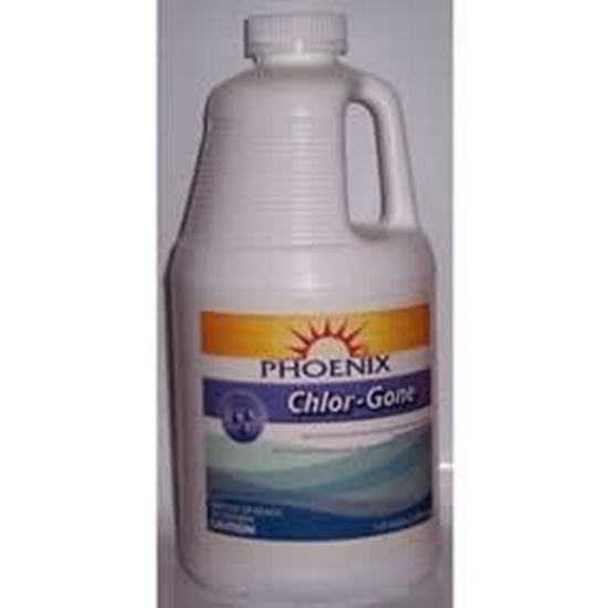 Picture of Chlor-Gon - 1/2 Gallon Bottle | 001-011014P06