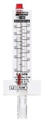 Picture of Flowmeter | F30800P