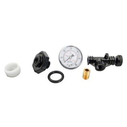 Picture of Pentair Sta-Rite System 3 Air Relief Valve & PSI Gauge Assembly | 24850-0105
