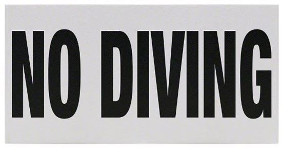 Picture of Inlays No Diving Words4" Letters-1  SR | C621700