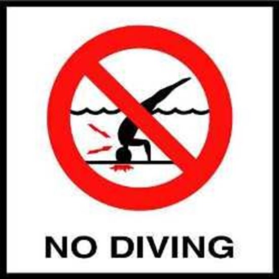 Picture of Inlays No Diving W/ Int'L Symbol | G611500