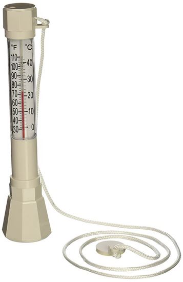 Picture of Pentair #136 EZ Rd Thermometer | R141200