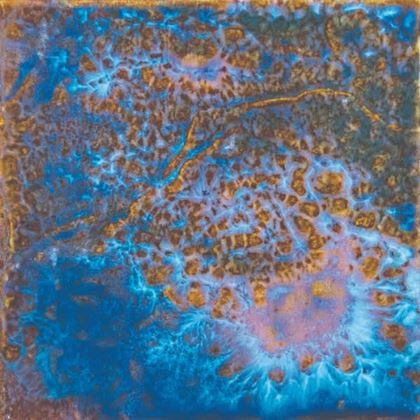 Picture of Osprey Reef Coral S Porcelain Tile Blue/Brown 6" x 6"