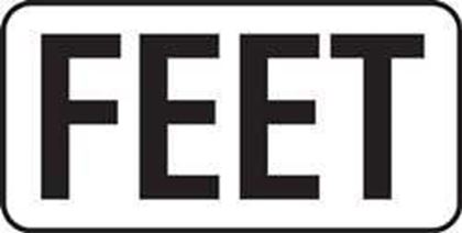 Picture of Inlays Feet4" Letters-6" Length | V621710