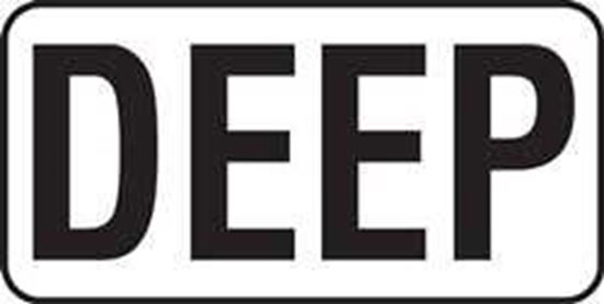 Picture of Inlays Deep4" Letters-6" Length | V621711