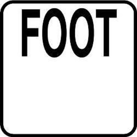 Picture of Inlays Foot6" Length Depth | V621534