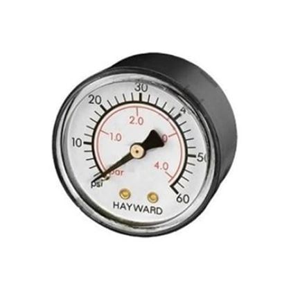 Picture of American Granby Pressure Gauge 60 PSI w/ 1/4" Back Mount | EIPPG602-4B
