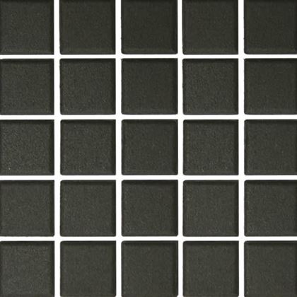 Picture of 1X1 Black/Ebony D31111MS1P