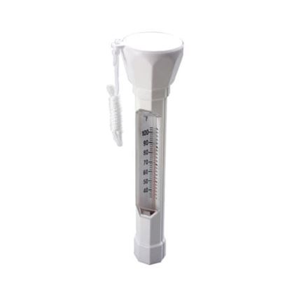 Picture of Ocn Blue Deluxe Floating Thermometer | 150020