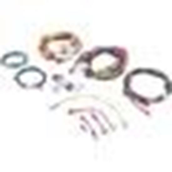 Picture of Wire Harness, Raypak 207A 010347F