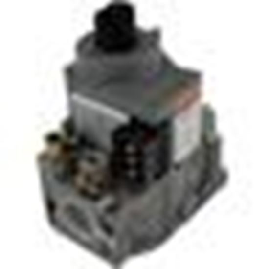 Picture of Combination Gas Valve, Raypak 207A, On/Off, Nat. 010329F
