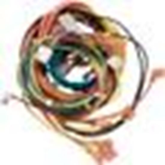 Picture of Wire Harness, Raypak R185B/206A, IID 009490F