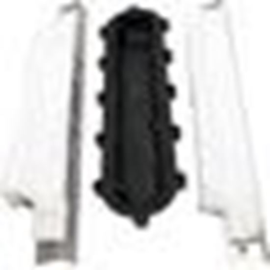 Picture of Return Header, Raypak 185/207A/206A/R185A/R185B, Capron 006707F