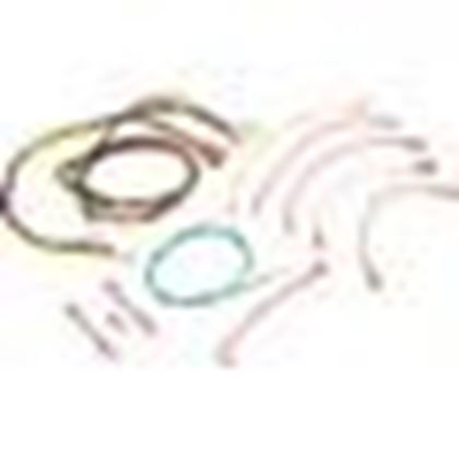 Picture of Wire Harness, Raypak RP2100, R185-R405, IID 005270F