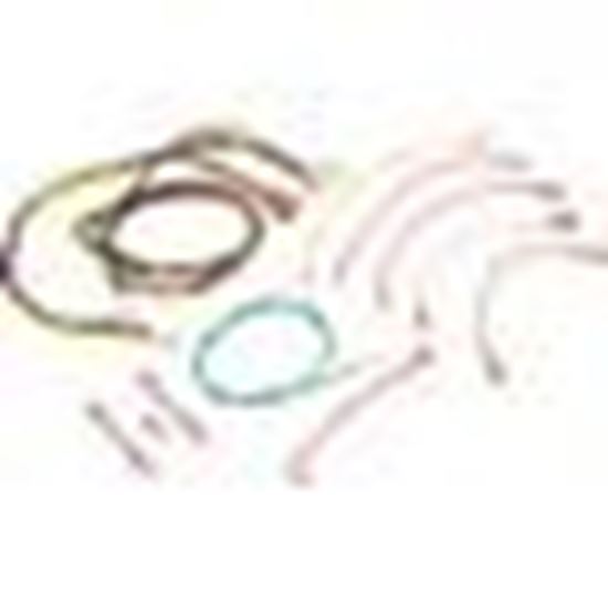 Picture of Wire Harness, Raypak RP2100, R185-R405, IID 005270F