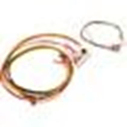 Picture of Wire Harness, Raypak 156A, Digital 014885F