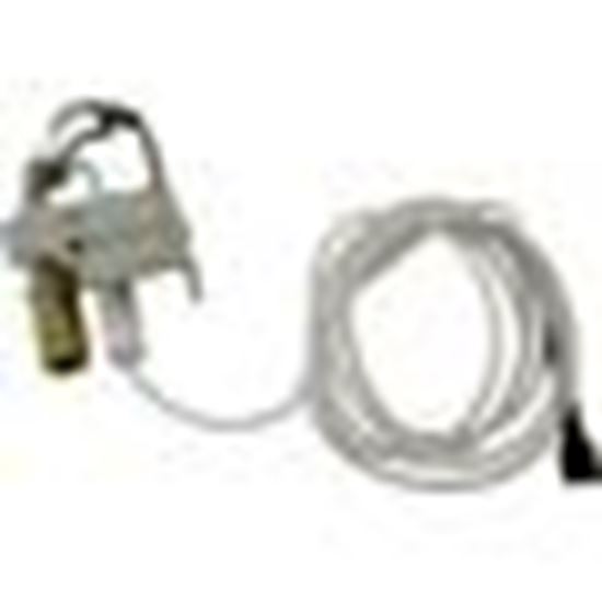 Picture of Pilot, Raypak R185A/R185B, Nat., IID 008155F
