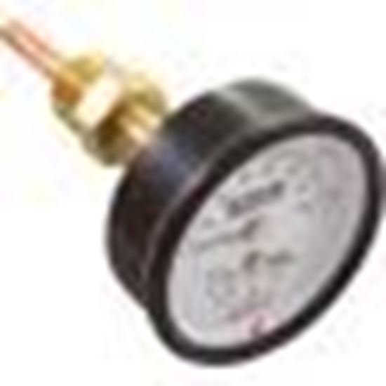Picture of Temperature & Pressure Gauge Kit, Raypak Hydronic Heaters 007399F