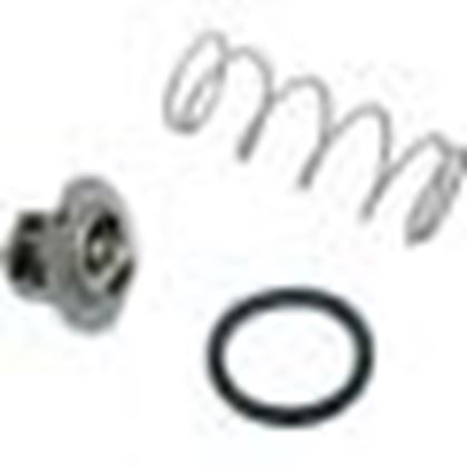Picture of Unitherm Governor, Raypak 105A/105B/155A/185A/R185/185/207A 062234B