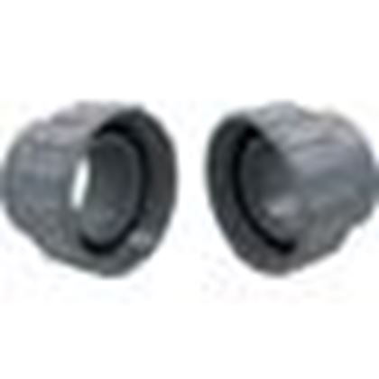 Picture of Heater Flange Kit, Raypak, 2" PVC, with Nut 006723F