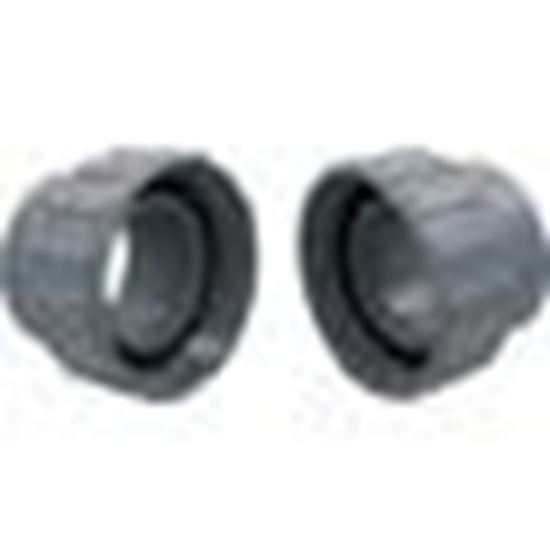 Picture of Heater Flange Kit, Raypak, 2" PVC, with Nut 006723F