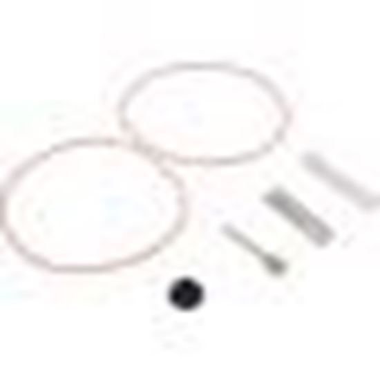 Picture of Bypass Valve Kit, Raypak 206A - 408A, Plastic 016194F
