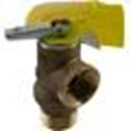 Picture of Pressure Relief Valve, Raypak 130A/207A/206A/R185A, 125 psi 008091F