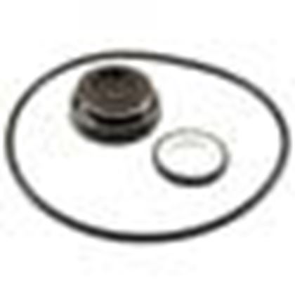 Picture of Mechanical Seal, Raypak Protege RPAGP, With O-Ring 018227F